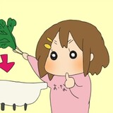 nanmomozi