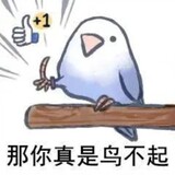 bzhanwangxuesen