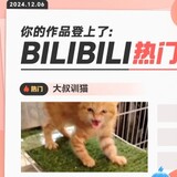 dashuaiwan___
