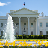 thewhitehouse