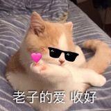 jianghupianzigugugu