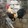RGC_BANTAM