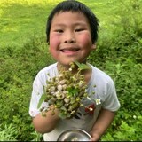 nongcunxiaopangdi