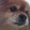 deaddogeye
