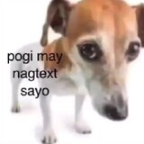 pogimaynagtextsayo