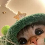 rongxingxing_