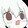 shixiaoxi1