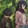 tadahana_03