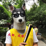 lishushuomei