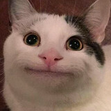 oiiai___