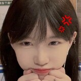 xiaolulipaijilupian