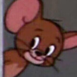 sfbchesv