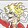 SunGodLuffy