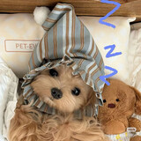 chengzailyc