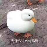 taozililun