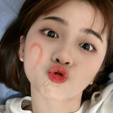 shoushoujidecc