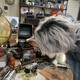 creator avatar