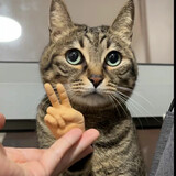 ______jiaojiaozhu___