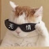 luoleixinlingsui-
