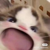 shitongtongyaaini