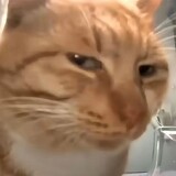 shijietianxia1