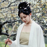 toutouzhangtoufale