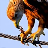 killakandy_02