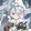 youyinyui