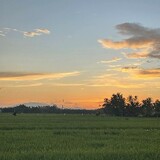 ZARRAH_28
