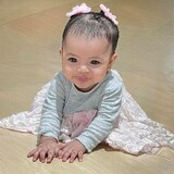 Reynacaracta Caracta