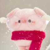 dabaibaibubai_