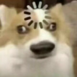 shuodaolaninali