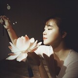 d_____xiaowu