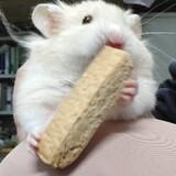 keyouzhedianbaowo
