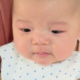 jinjidechuyijiang