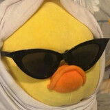 shashali_