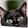 Onyxthecat