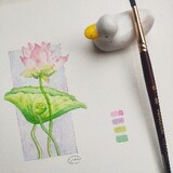___maaishuicai