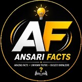 Ansari facts