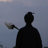 zixuzhidao