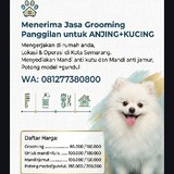 grooming Semarang