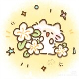 xiaoshunihao-