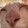 miaomemeshenghuo