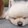 chengchengtongxue-