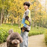 CYJunminghanbo