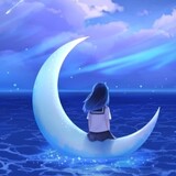 aixiaomifan