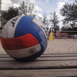 feifeivolleyzone