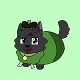 Felix the black cat