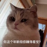 anzhongqiangfan