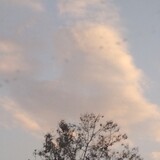 Skylese(Realaccount)